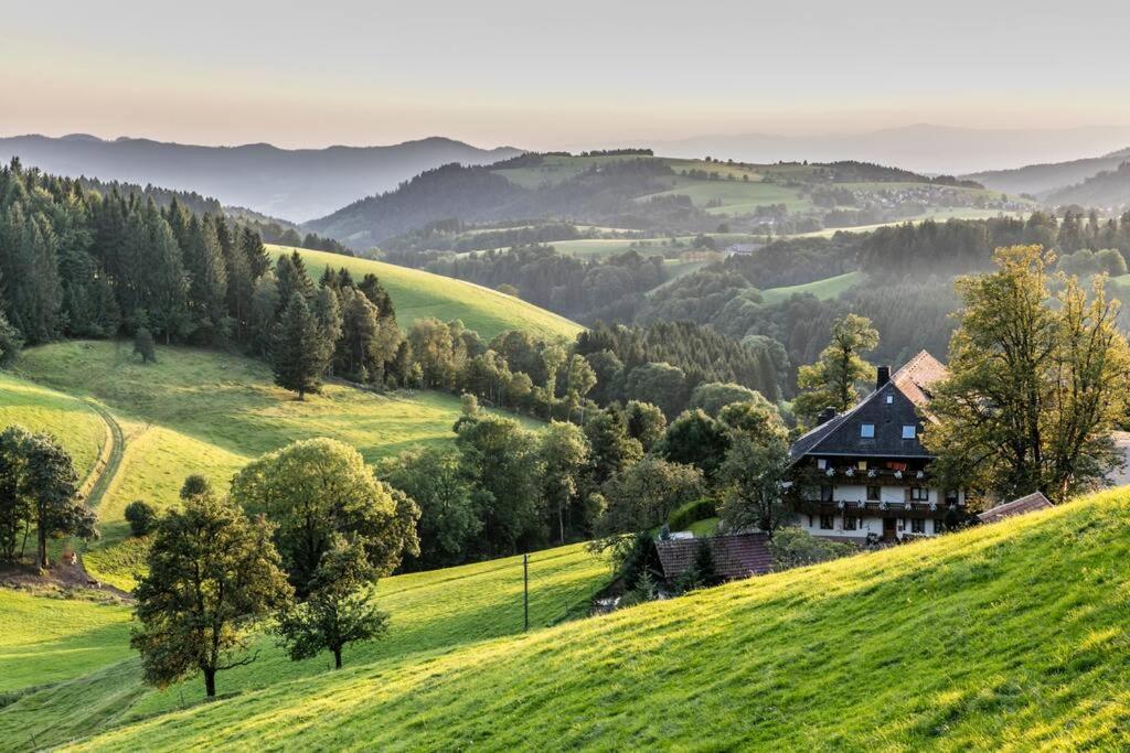 Waldklang Titisee エクステリア 写真